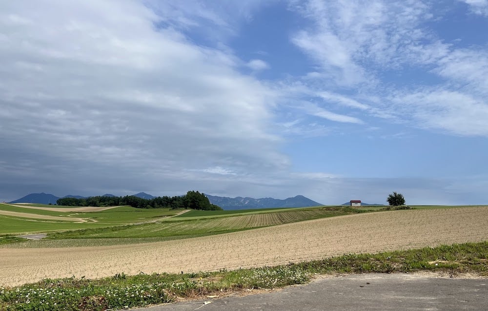 牧場